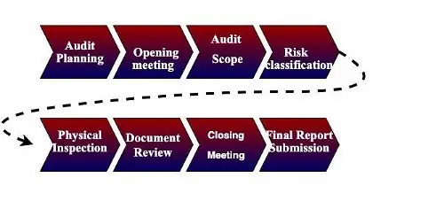 Flow diagram from Audit planning to Final report Submission